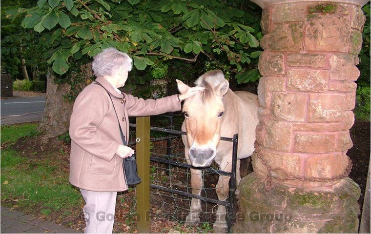 Jean Melvin member of Govan Reminiscence Group claps horse at Ayr